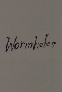 Wormholes