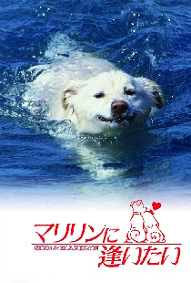 マリリンに逢いたい