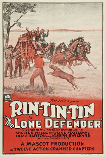 The Lone Defender