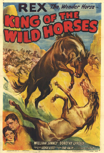 King of the Wild Horses