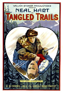 Tangled Trails