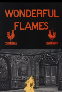 Les Flammes diaboliques