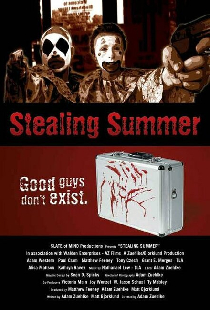 Stealing Summer