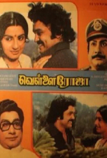 வெள்ளை ரோஜா
