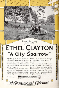 A City Sparrow