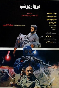 پرواز در شب