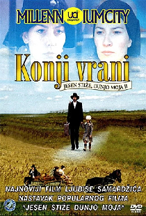Чёрные лошади