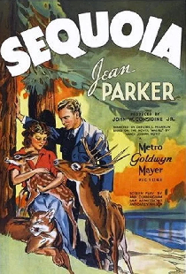 Sequoia