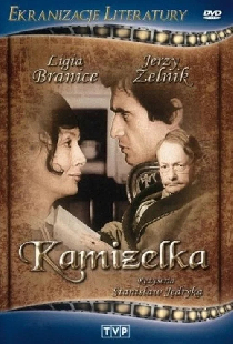 Жилетка