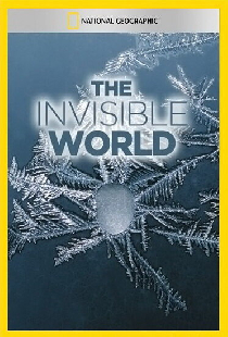 National Geographic: The Invisible World