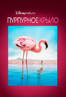 Пурпурное крыло