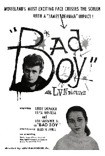 Bad Boy