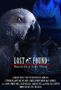 48 hour Lost & Found (2020 IV)