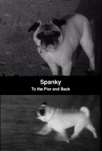 Spanky: To the Pier and Back