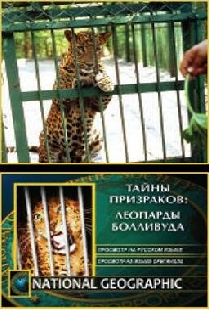 НГО: Тайны призраков: Леопарды Болливуда