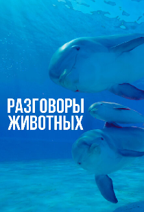 Разговоры животных