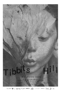 Tibbits Hill