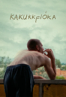 Kakukkfióka