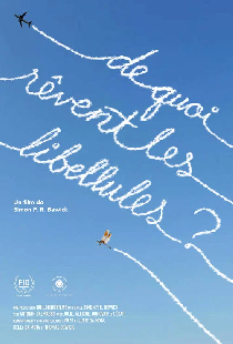De quoi rêvent les libellules?