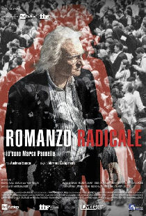 Romanzo radicale