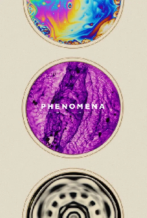 Phenomena