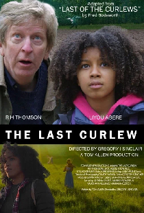 The Last Curlew