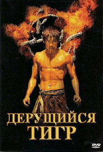 Дерущийся тигр