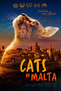 Кошки Мальты