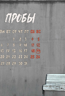 Пробы