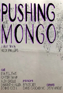 Pushing Mongo
