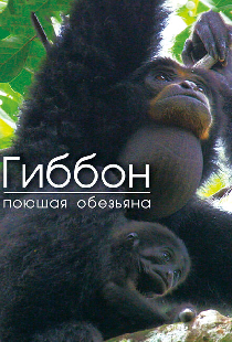 Гиббон — поющая обезьяна