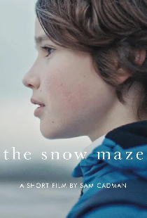 The Snow Maze