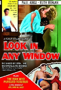 Look in Any Window