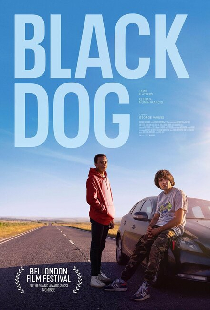 Black Dog