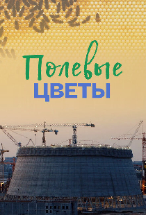 Полевые цветы