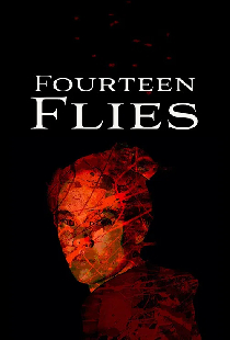 Fourteen Flies
