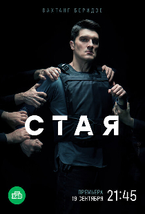 Стая