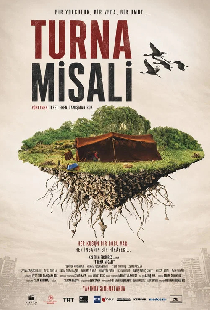 Turna Misali