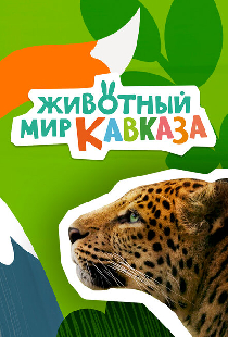 Животный мир Кавказа