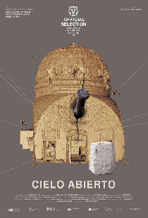 Открытое небо