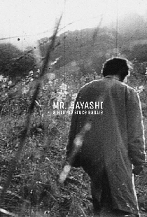 Mr. Hayashi