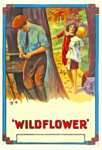 Wildflower