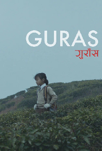 गुराँस