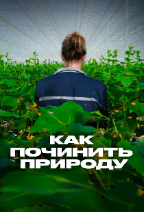 Как починить природу