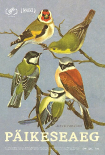 Солнечное время