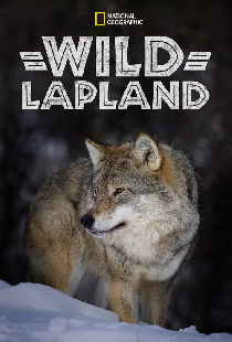 Wild Lapland