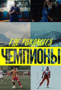 Где рождаются чемпионы