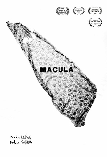 Macula