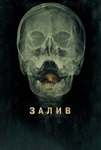 Залив