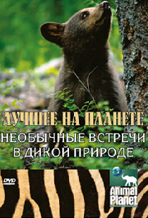 Animal Planet: Лучшее на планете